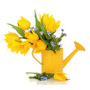 Наполнение интернет-магазинов