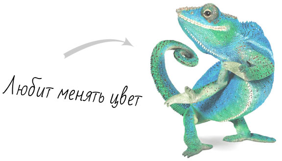 Заказать редизайн сайта