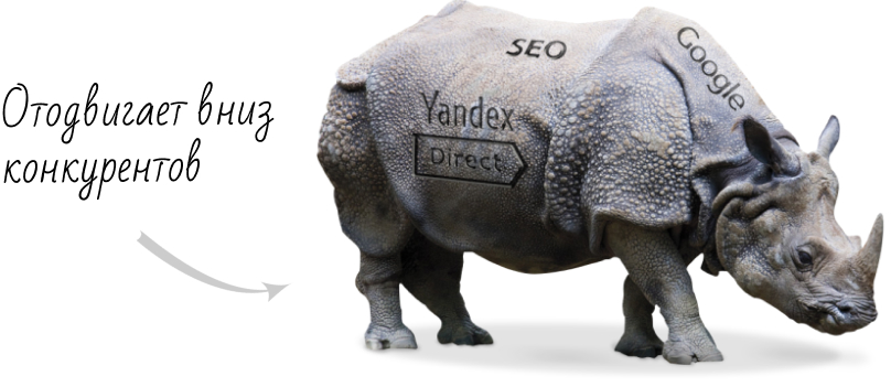 Заказать сео продвижение сайта