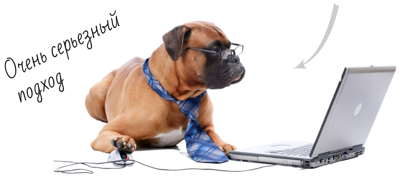 Заказать поддержку сайта