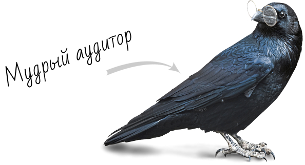 Заказать аудит сайта