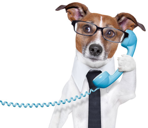 Контакты компании Сайт-крафт