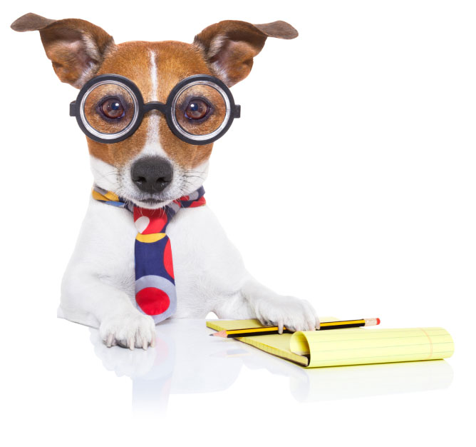 Как происходит поддержка сайтов