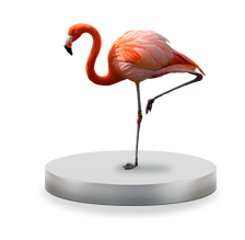 Разработка фирменного стиля