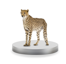 Редизайн сайтов