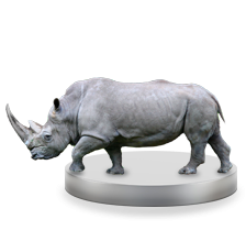 Продвижение сайтов