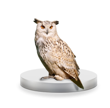 Аудит сайтов